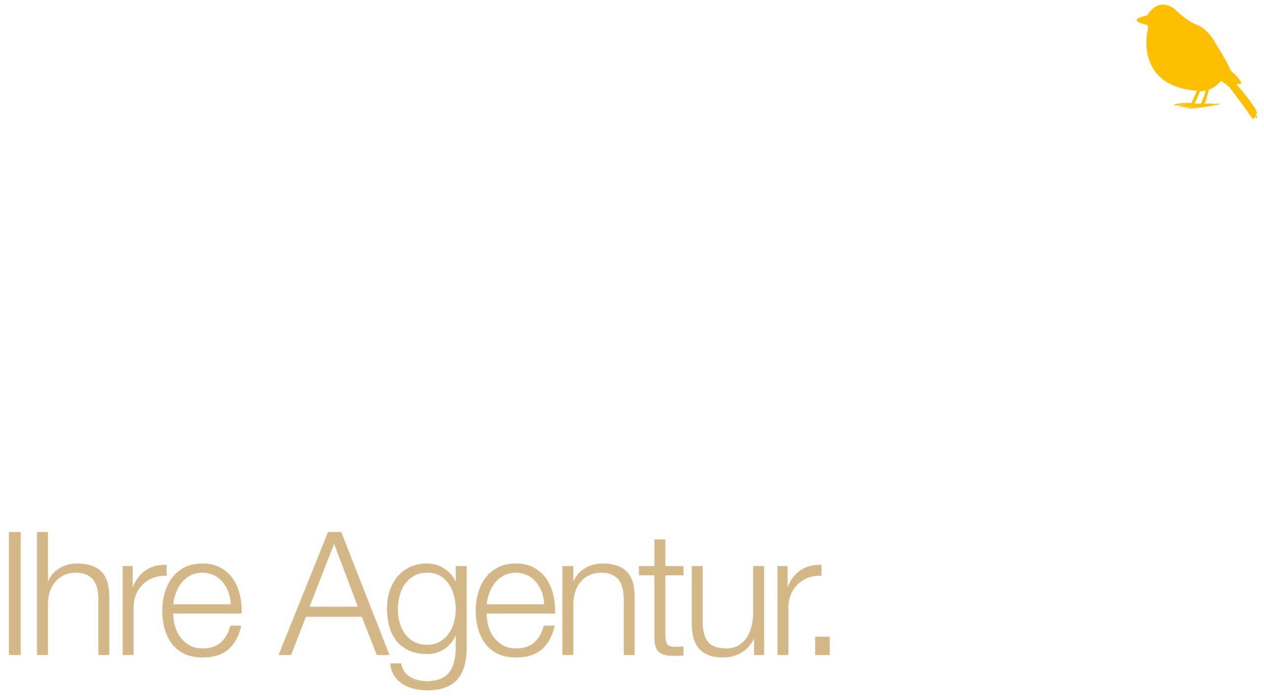 Logo in weiß der NUSSBAUM Marketing und Kommunikation GmbH